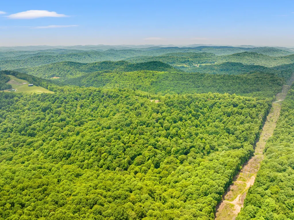 1945 Pittman Branch Road Mt Vernon KY 40456