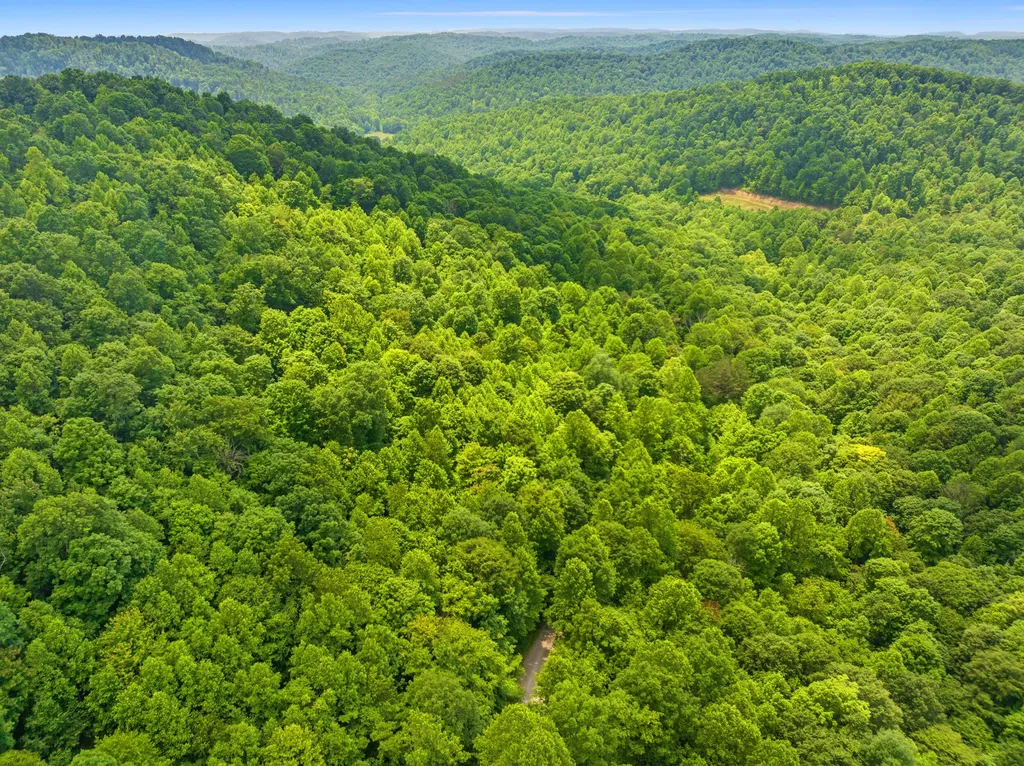 1945 Pittman Branch Road Mt Vernon KY 40456