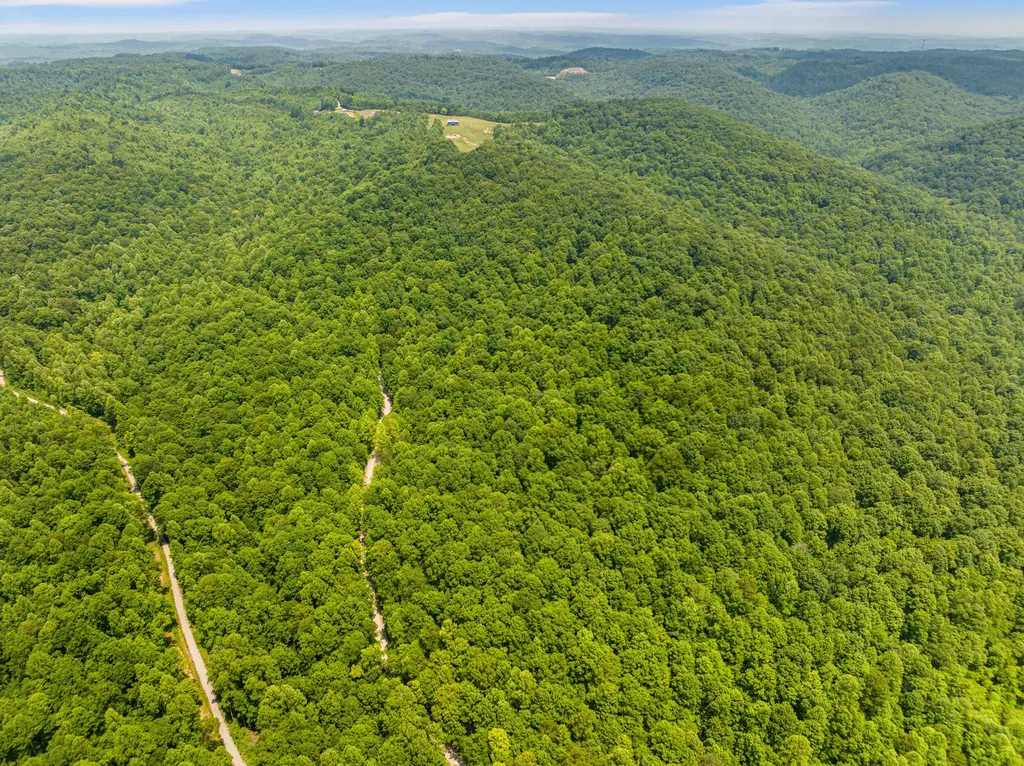 1945 Pittman Branch Road Mt Vernon KY 40456