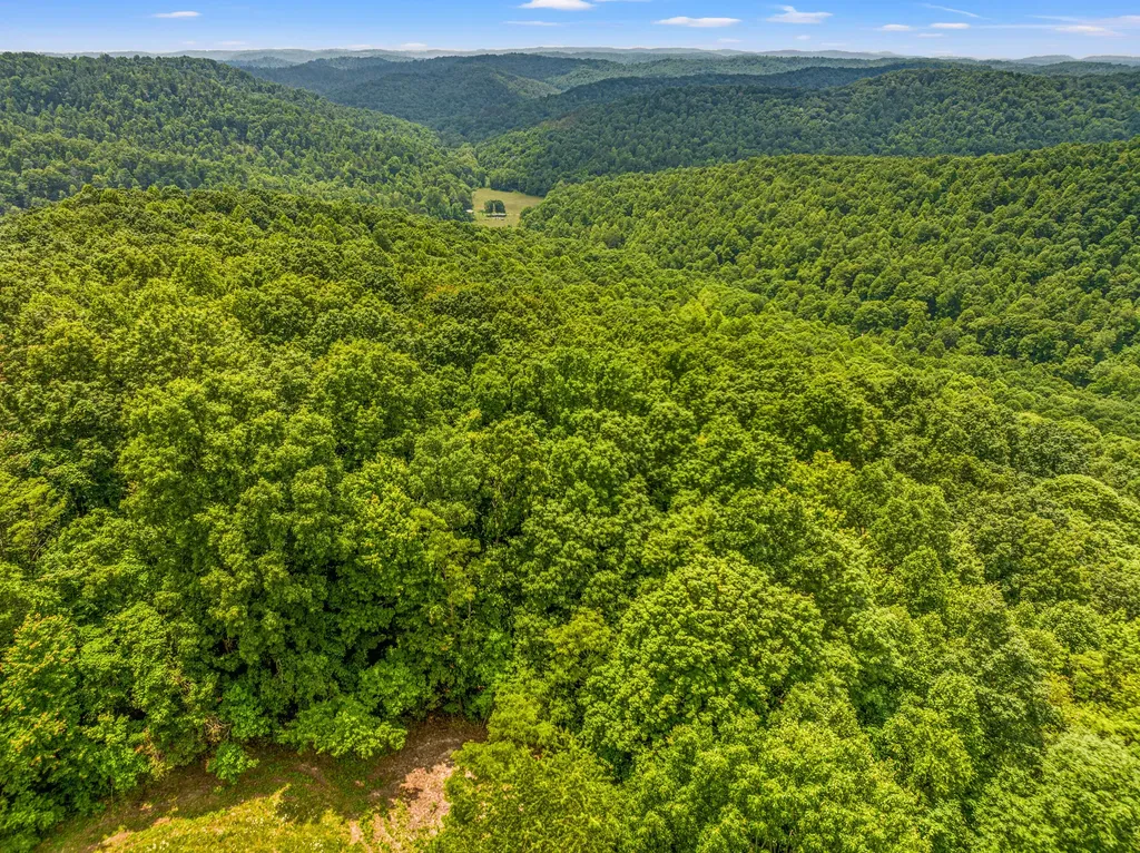 1945 Pittman Branch Road Mt Vernon KY 40456