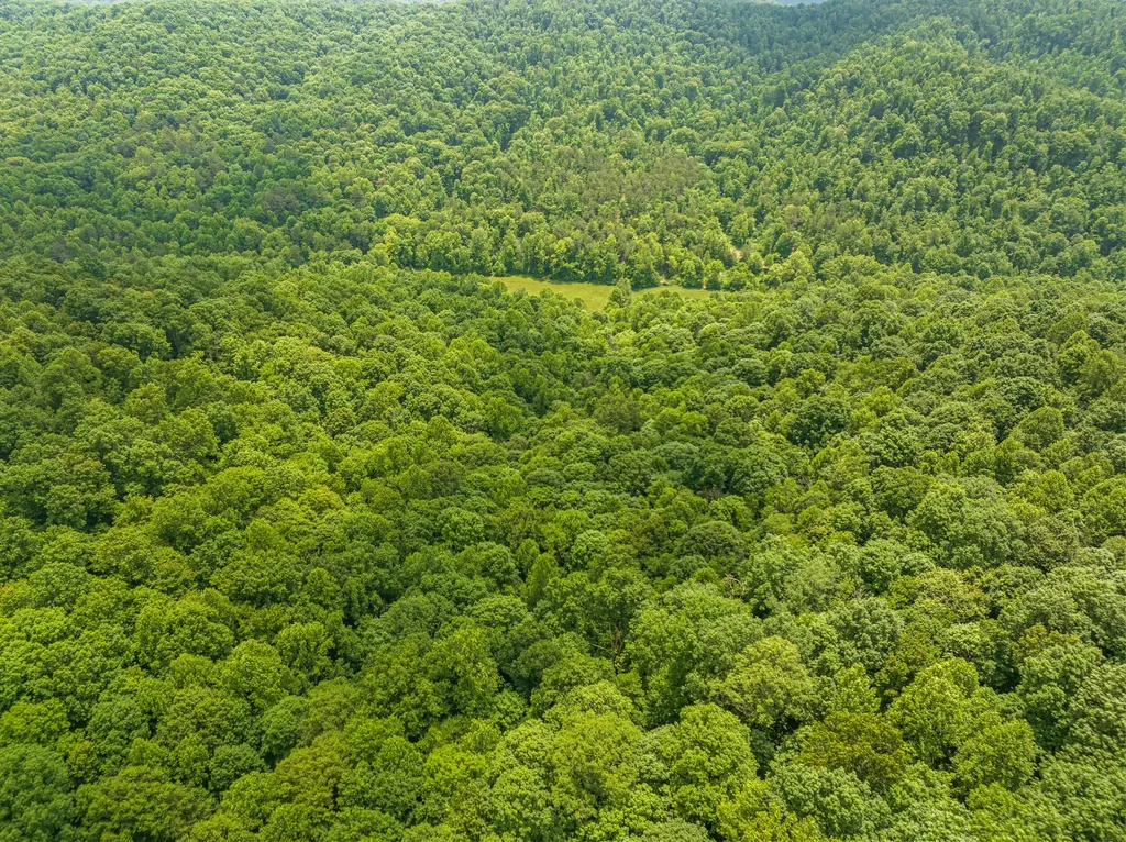 1945 Pittman Branch Road Mt Vernon KY 40456