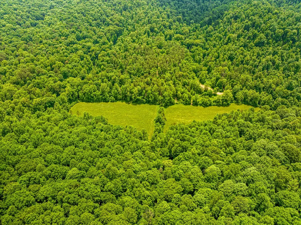 1945 Pittman Branch Road Mt Vernon KY 40456
