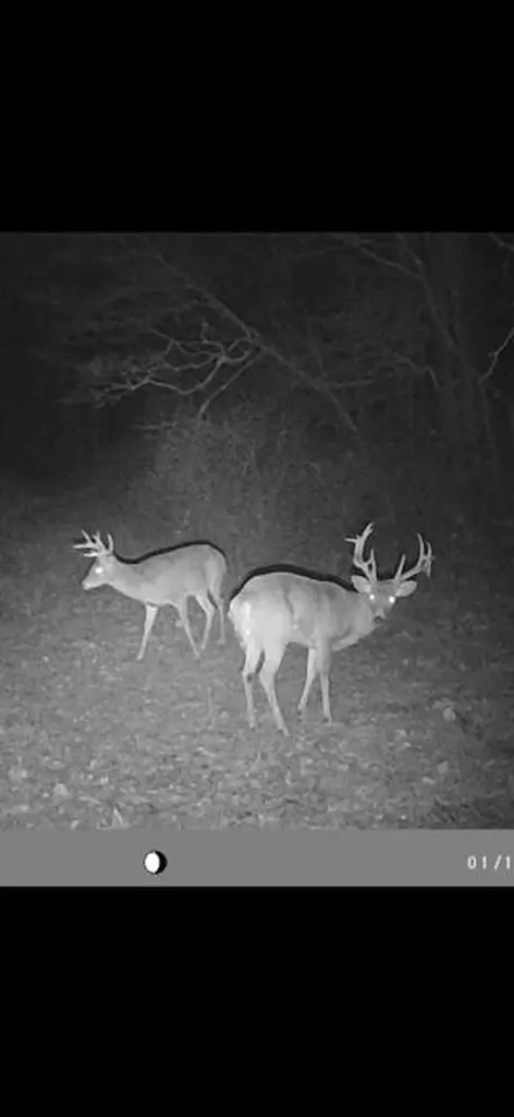 275 Horns River Road Irvine KY 40336