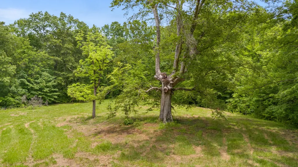 275 Horns River Road Irvine KY 40336