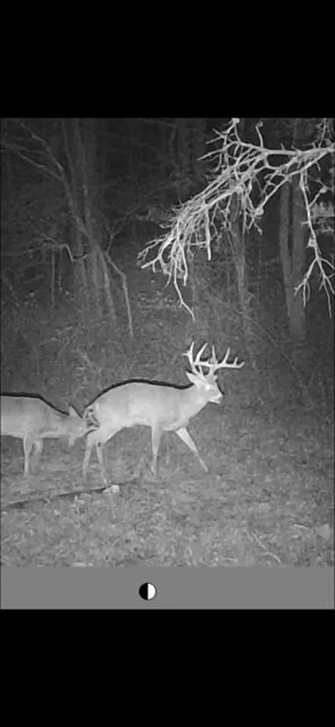 275 Horns River Road Irvine KY 40336
