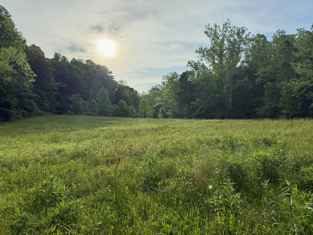 275 Horns River Road Irvine KY 40336