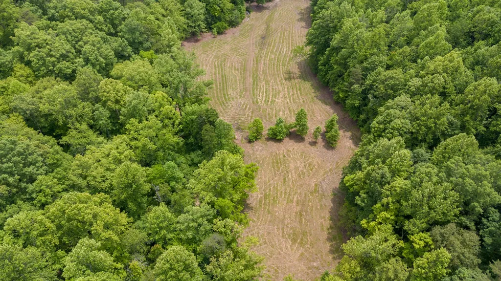 275 Horns River Road Irvine KY 40336