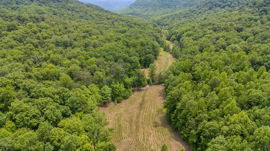 275 Horns River Road Irvine KY 40336