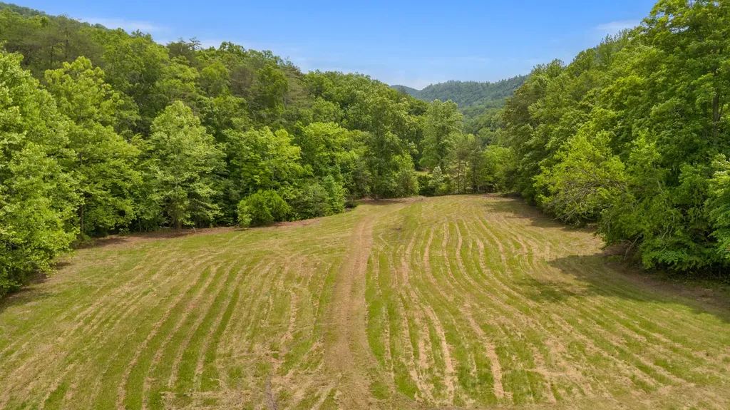 275 Horns River Road Irvine KY 40336