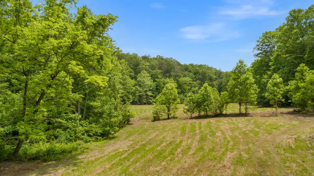 275 Horns River Road Irvine KY 40336