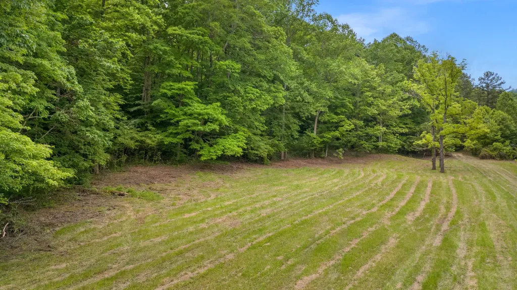275 Horns River Road Irvine KY 40336