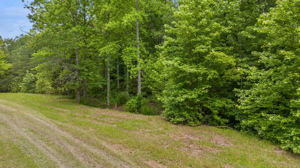 275 Horns River Road Irvine KY 40336