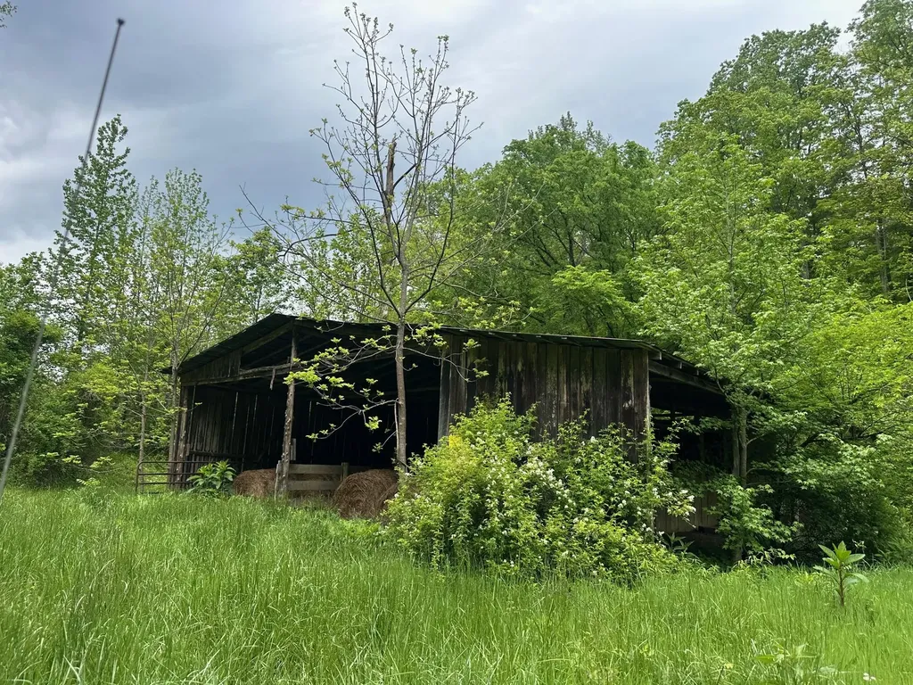 275 Horns River Road Irvine KY 40336