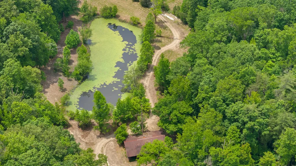 275 Horns River Road Irvine KY 40336