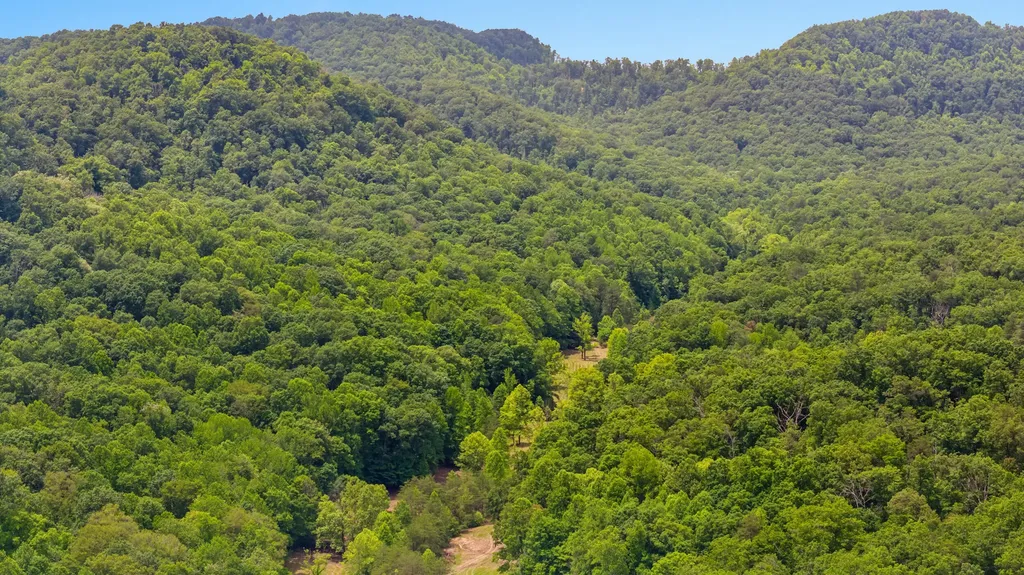 275 Horns River Road Irvine KY 40336