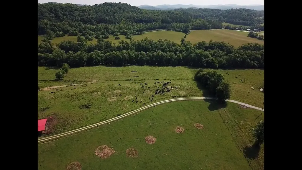 1440 Lawson Bend Road Williamsburg KY 40769