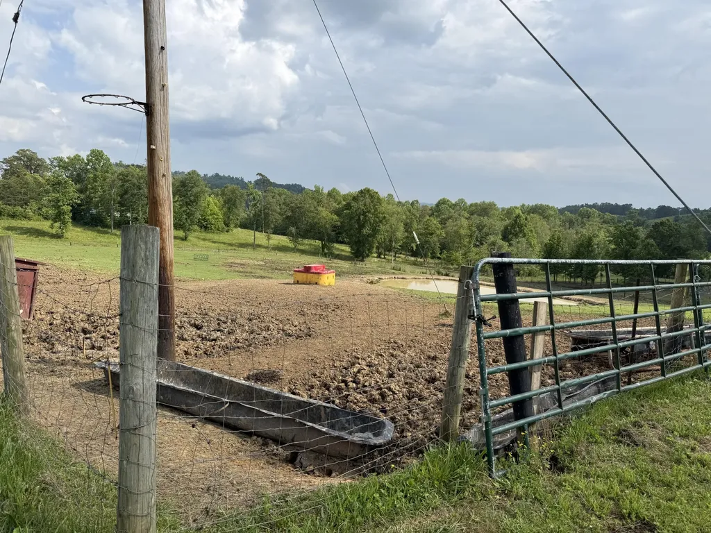 1440 Lawson Bend Road Williamsburg KY 40769