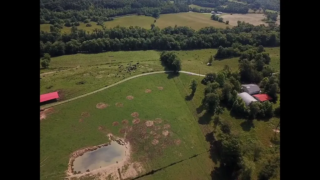 1440 Lawson Bend Road Williamsburg KY 40769