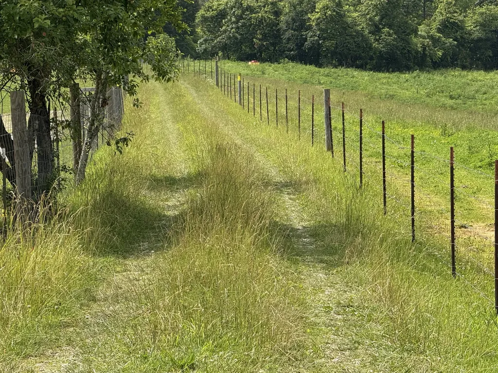 1440 Lawson Bend Road Williamsburg KY 40769