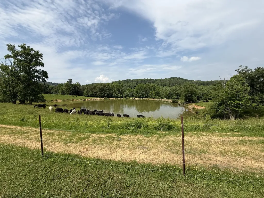 1440 Lawson Bend Road Williamsburg KY 40769