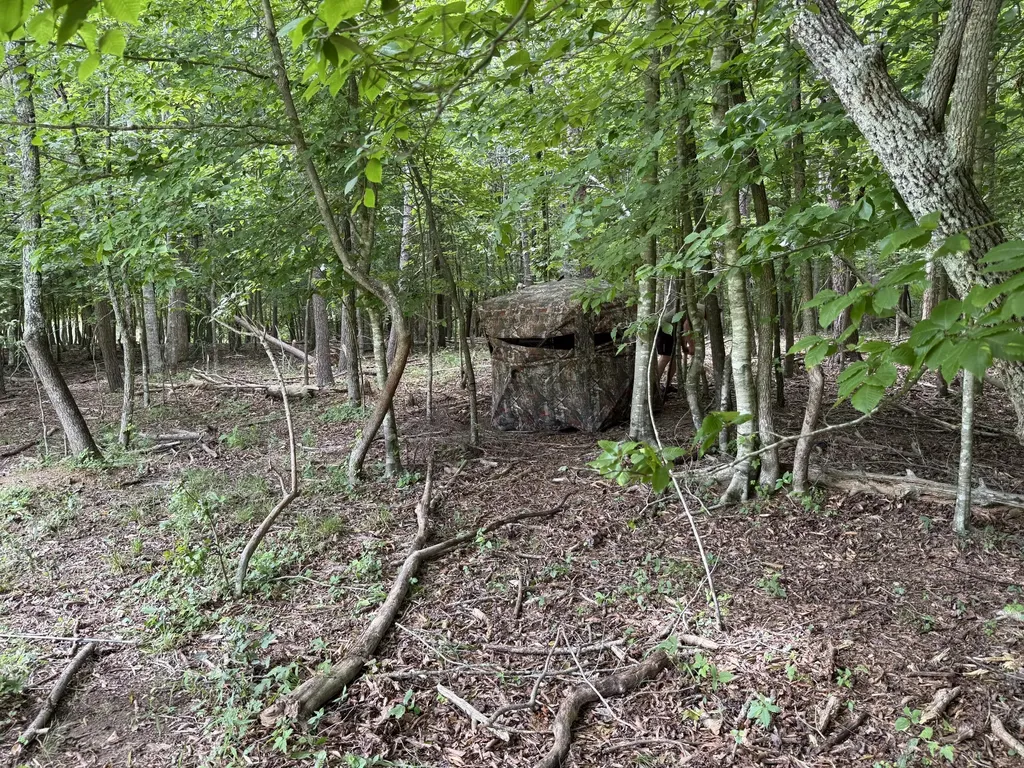 1440 Lawson Bend Road Williamsburg KY 40769