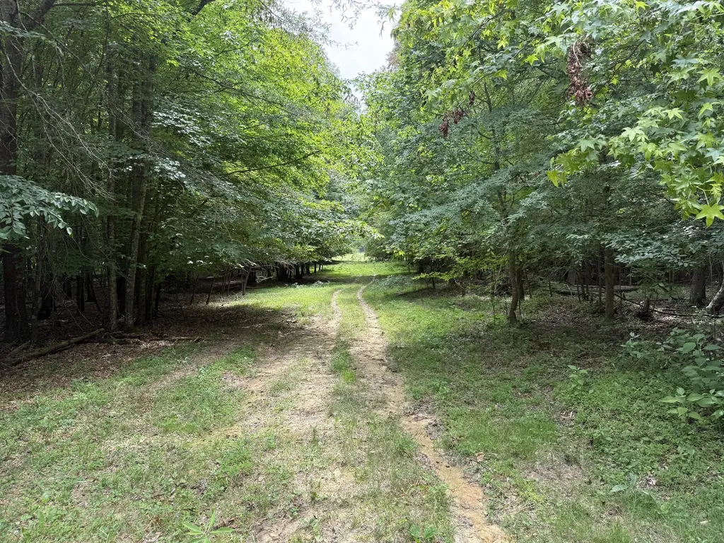 1440 Lawson Bend Road Williamsburg KY 40769