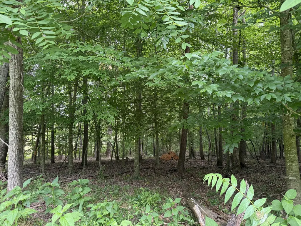 1440 Lawson Bend Road Williamsburg KY 40769