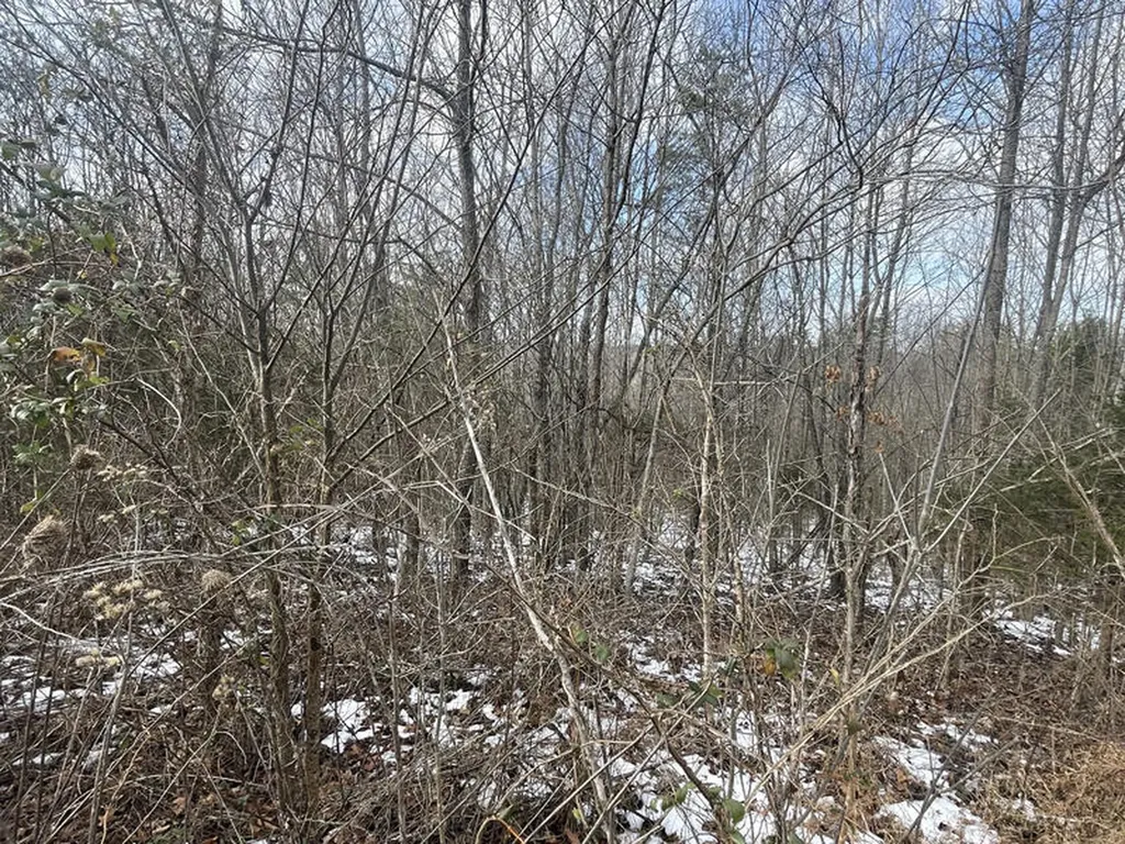 Lot 51 Shepperd Nancy KY 42544