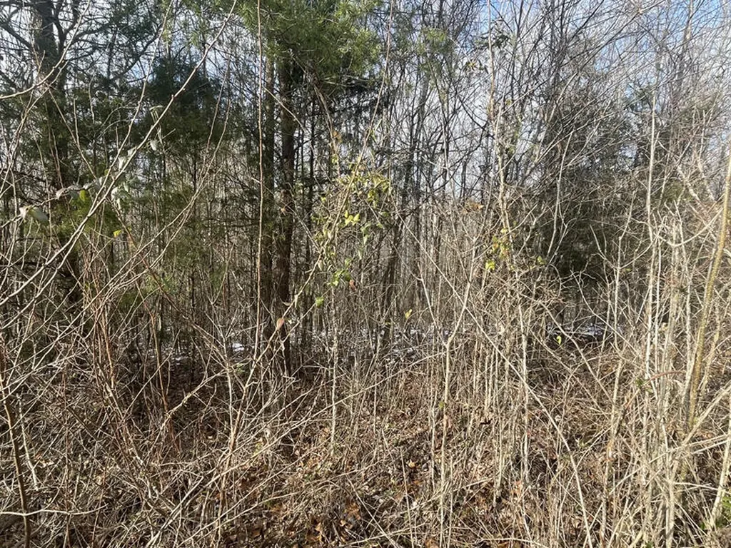 Lot 51 Shepperd Nancy KY 42544