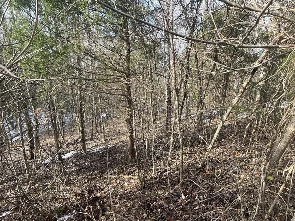 Lot 51 Shepperd Nancy KY 42544