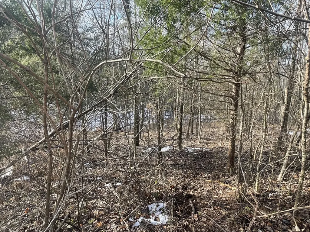 Lot 51 Shepperd Nancy KY 42544