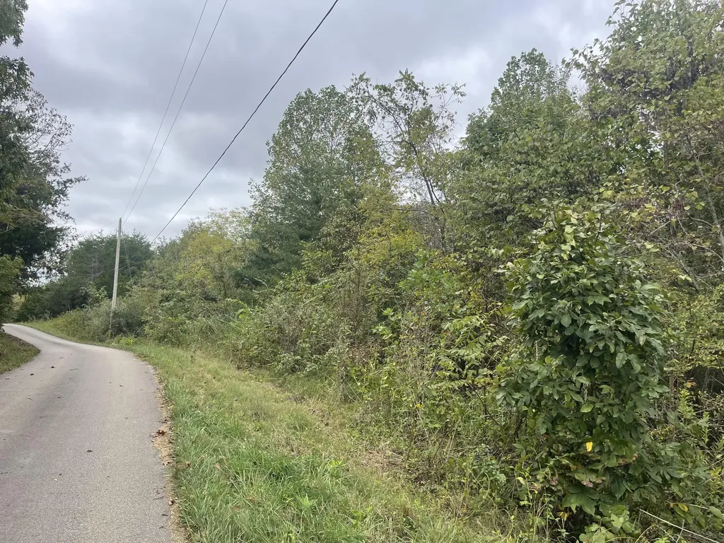 Lot 51 Shepperd Nancy KY 42544