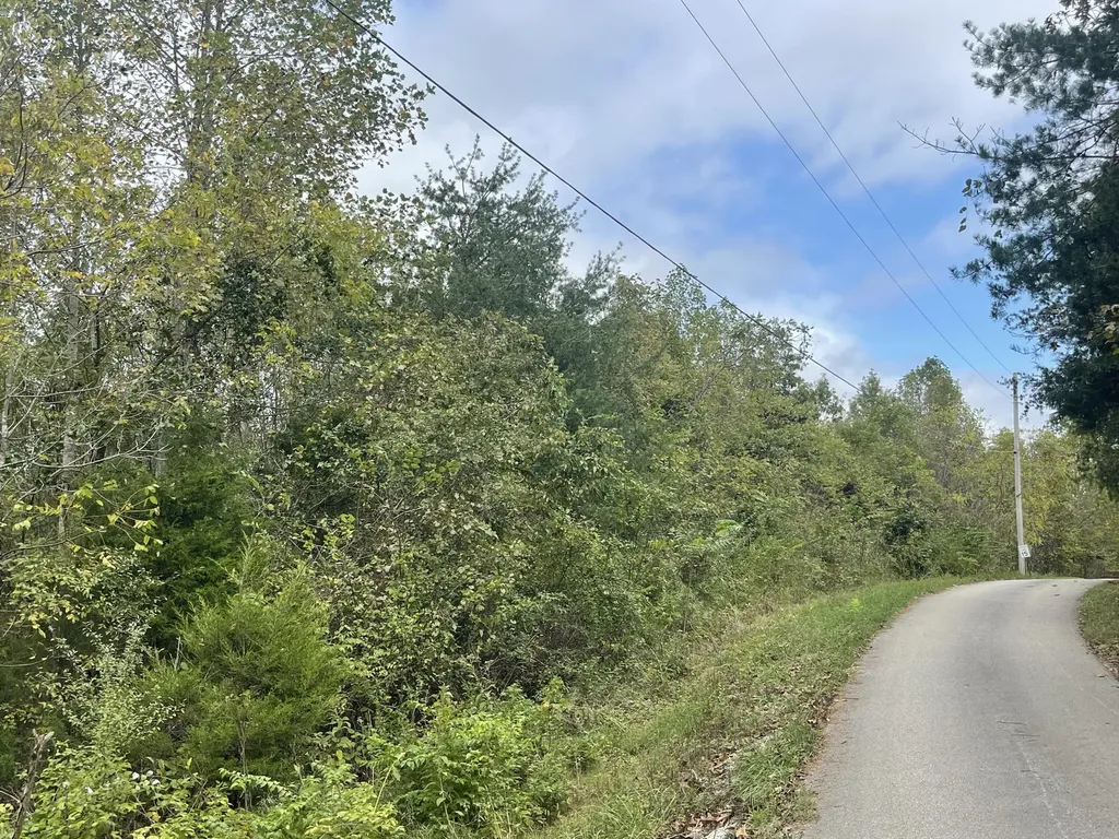 Lot 51 Shepperd Nancy KY 42544