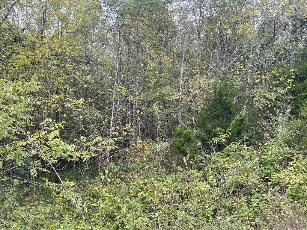 Lot 51 Shepperd Nancy KY 42544
