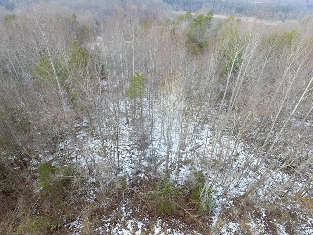Lot 51 Shepperd Nancy KY 42544