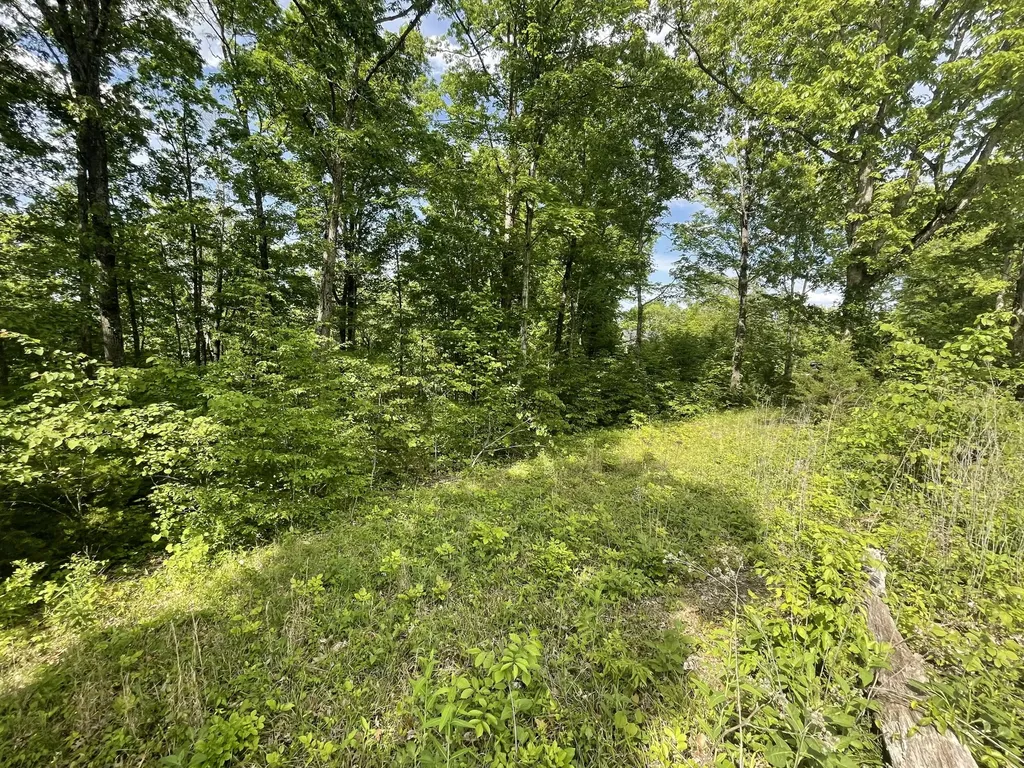 Lot 37 Cumberland Shores Monticello KY 42633