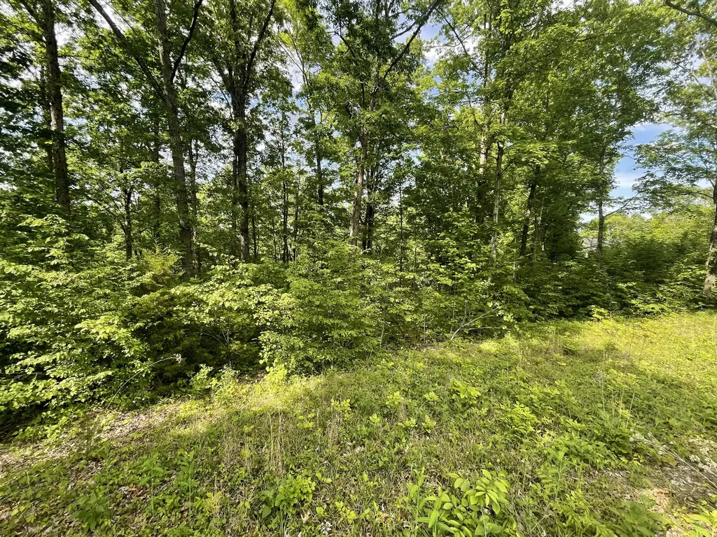 Lot 37 Cumberland Shores Monticello KY 42633