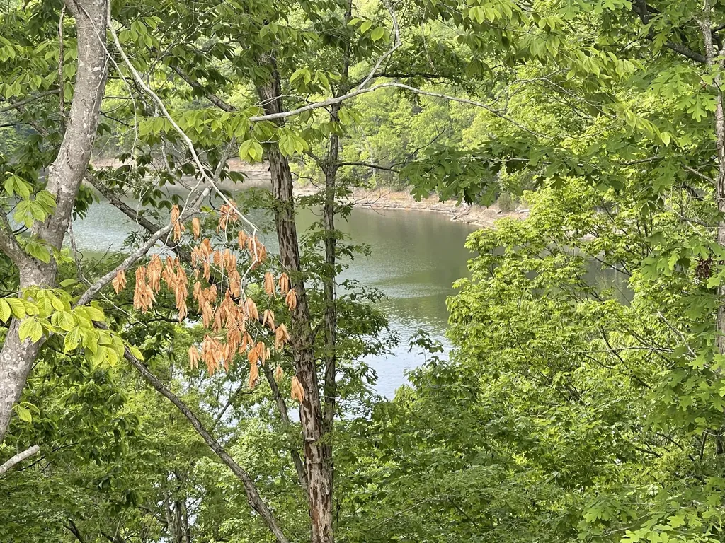 Lot 37 Cumberland Shores Monticello KY 42633