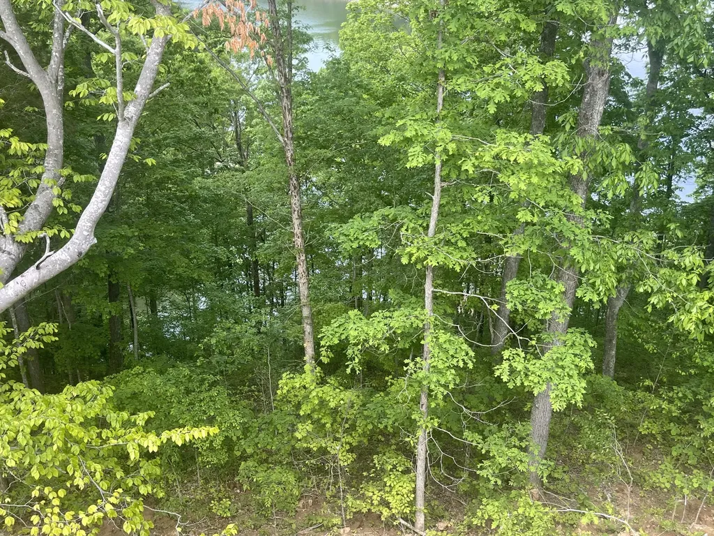 Lot 37 Cumberland Shores Monticello KY 42633