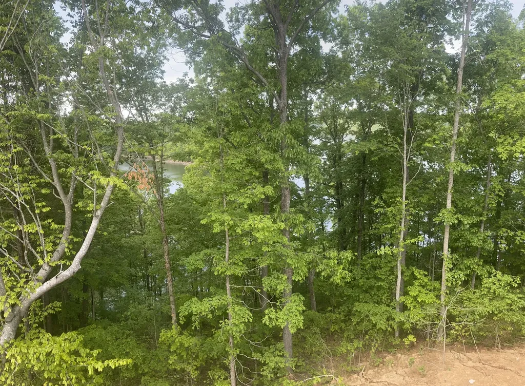 Lot 37 Cumberland Shores Monticello KY 42633
