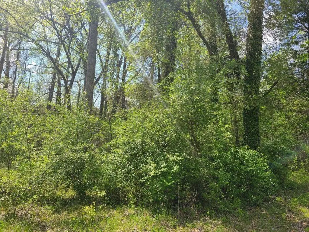 4777 Highway 80 Somerset KY 42503