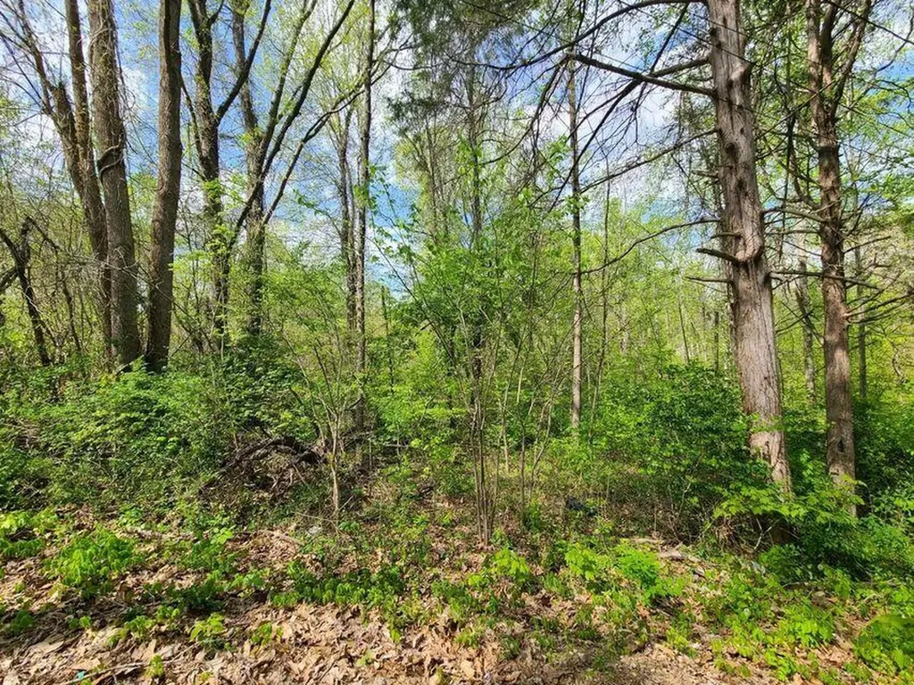 4777 Highway 80 Somerset KY 42503
