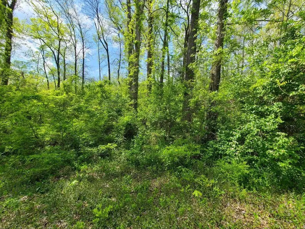 4777 Highway 80 Somerset KY 42503