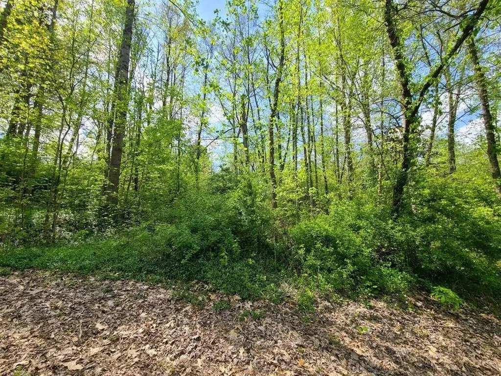4777 Highway 80 Somerset KY 42503