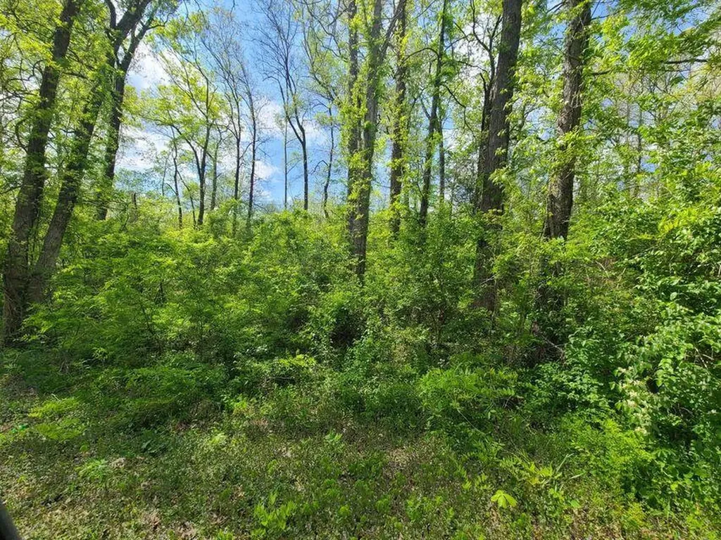 4777 Highway 80 Somerset KY 42503