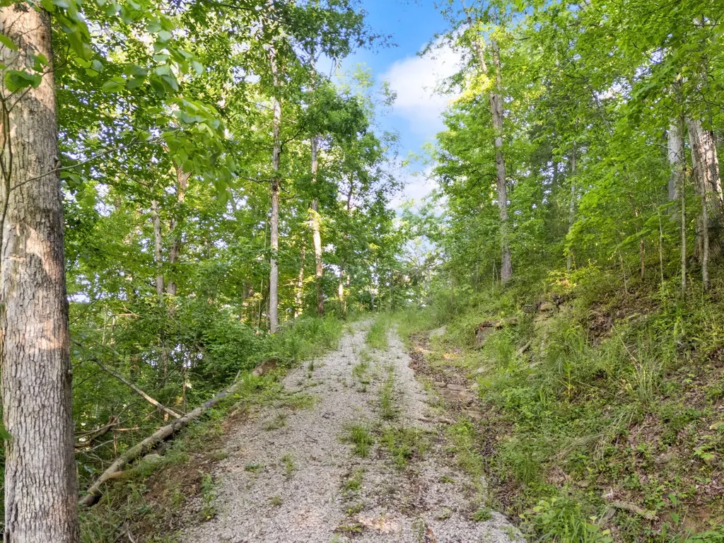 12332 Campton Road Stanton KY 40380