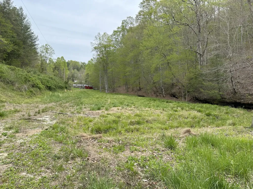 43 Deer Run Lane Campton KY 41301