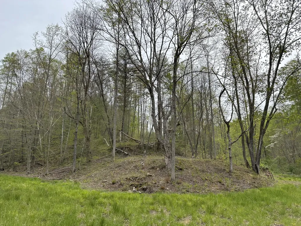 43 Deer Run Lane Campton KY 41301