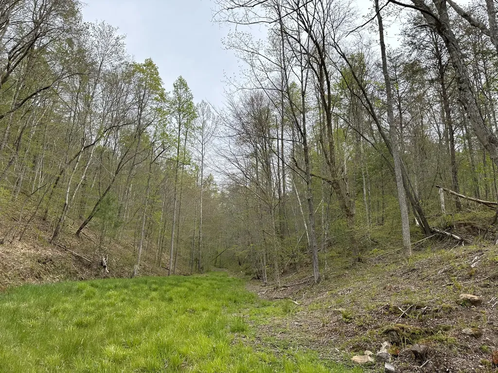 43 Deer Run Lane Campton KY 41301