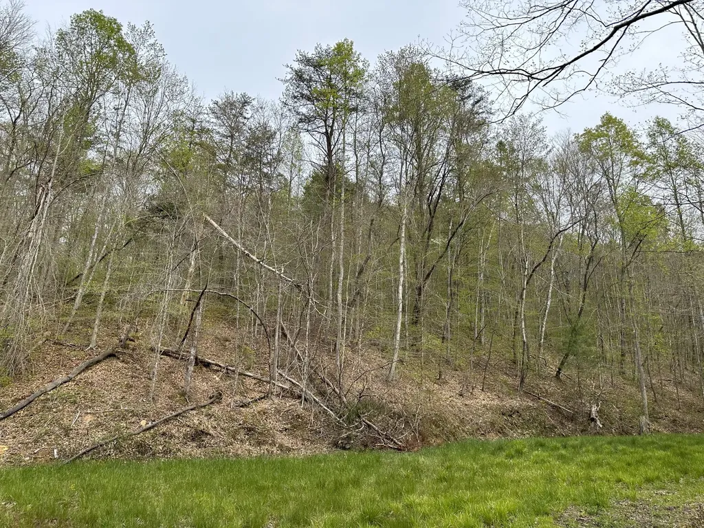 43 Deer Run Lane Campton KY 41301